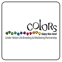 Colors